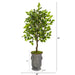 HYGGE CAVE | FICUS ARTIFICIAL TREE IN VINTAGE METAL PLANTER