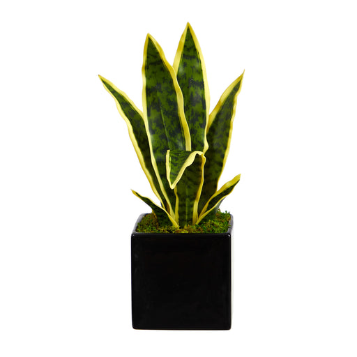 HYGGE CAVE | SANSEVIERIA ARTIFICIAL PLANT IN BLACK PLANTER