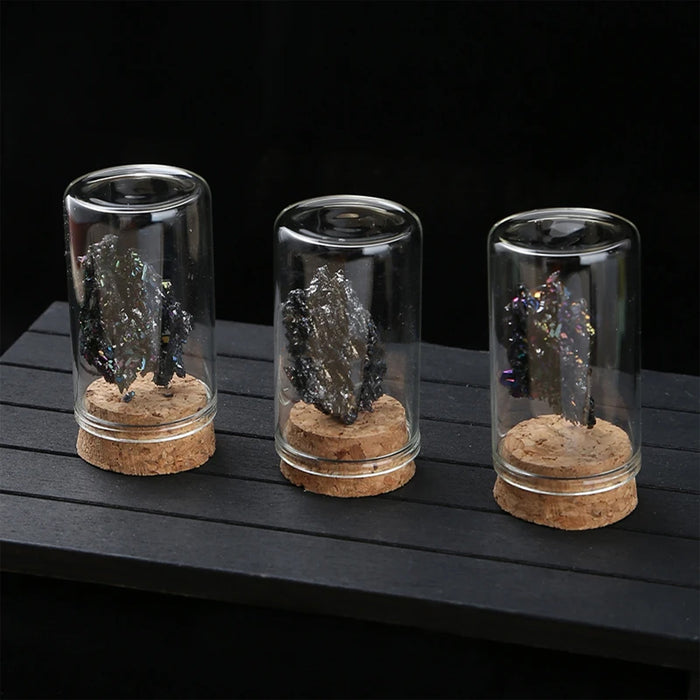 Picturesque Treasure Trove