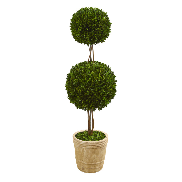 HYGGE CAVE | PRESERVED BOXWOOD DOUBLE BALL TOPIARY TREE IN PLANTER