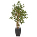 HYGGE CAVE | FICUS ARTIFICIAL TREE IN BLACK PLANTER