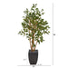 HYGGE CAVE | FICUS ARTIFICIAL TREE IN BLACK PLANTER