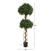 HYGGE CAVE | SWEET BAY DOUBLE BALL TOPIARY ARTIFICIAL TREE