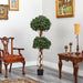 HYGGE CAVE | SWEET BAY DOUBLE BALL TOPIARY ARTIFICIAL TREE