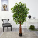HYGGE CAVE | FICUS ARTIFICIAL TREE WITH NATURAL TRUNK