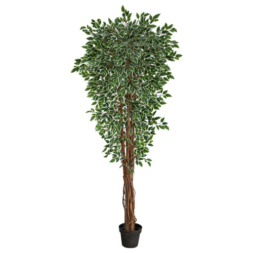 HYGGE CAVE | VARIEGATED FICUS ARTIFICIAL TREE