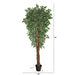 HYGGE CAVE | VARIEGATED FICUS ARTIFICIAL TREE