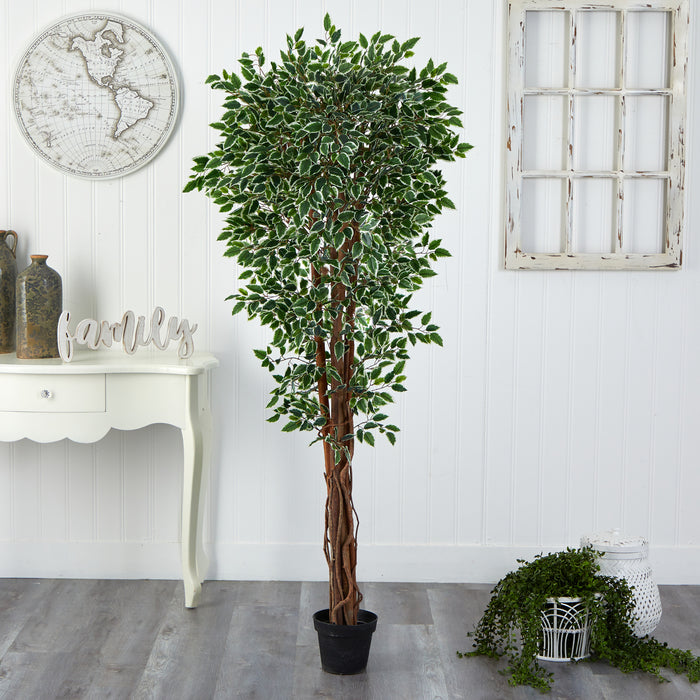 HYGGE CAVE | VARIEGATED FICUS ARTIFICIAL TREE