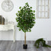 HYGGE CAVE | FICUS ARTIFICIAL TREE