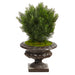 HYGGE CAVE | CEDAR ARTIFICIAL TREE IN IRON COLORED URN