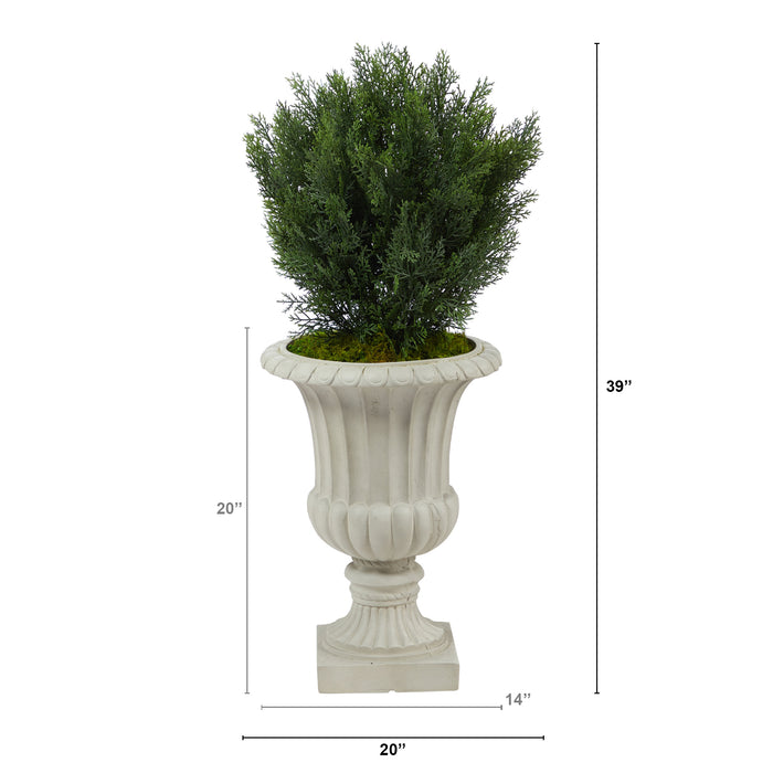 HYGGE CAVE | CEDAR ARTIFICIAL TREE IN SAND FINISHED URN
