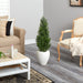 HYGGE CAVE | MINI CEDAR ARTIFICIAL PINE TREE IN WHITE PLANTER