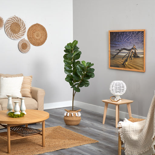 HYGGE CAVE | FIDDLE LEAF FIG TREE