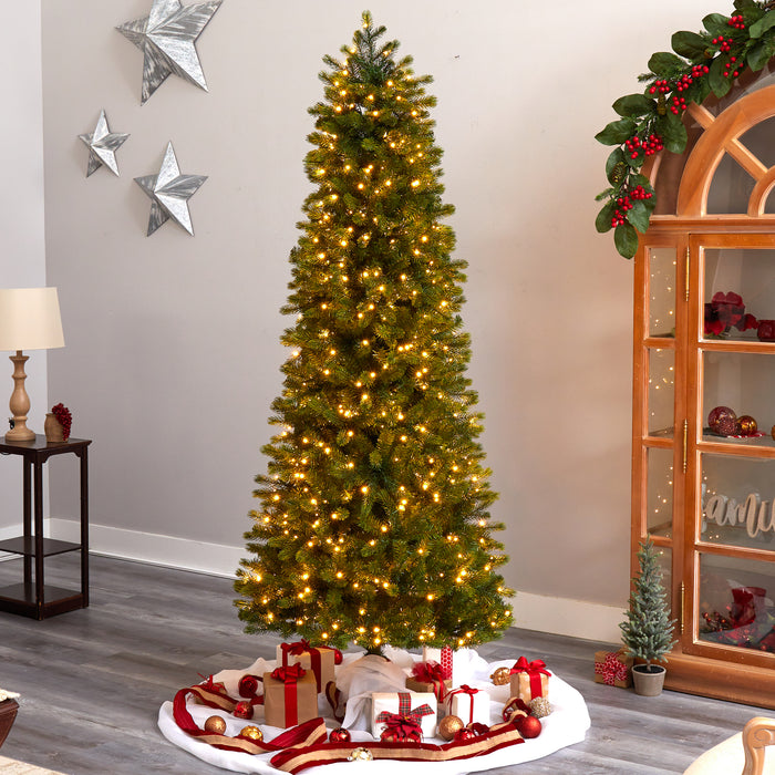 HYGGE CAVE | SLIM COLORADO MOUNTAIN SPRUCE TREE