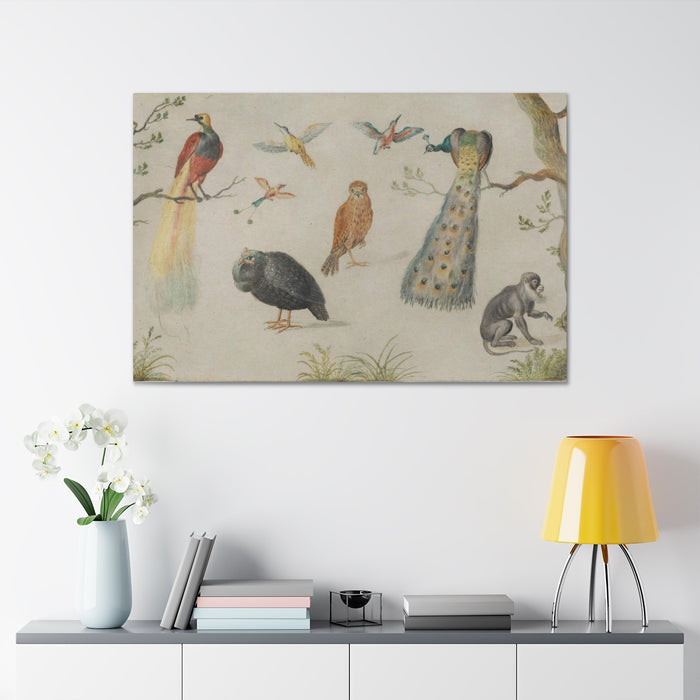HYGGE CAVE | STUDY OF BIRDS AND MONKEY 1